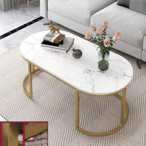 Oval/Ove Shape Center Table — Elegant Living Room Table